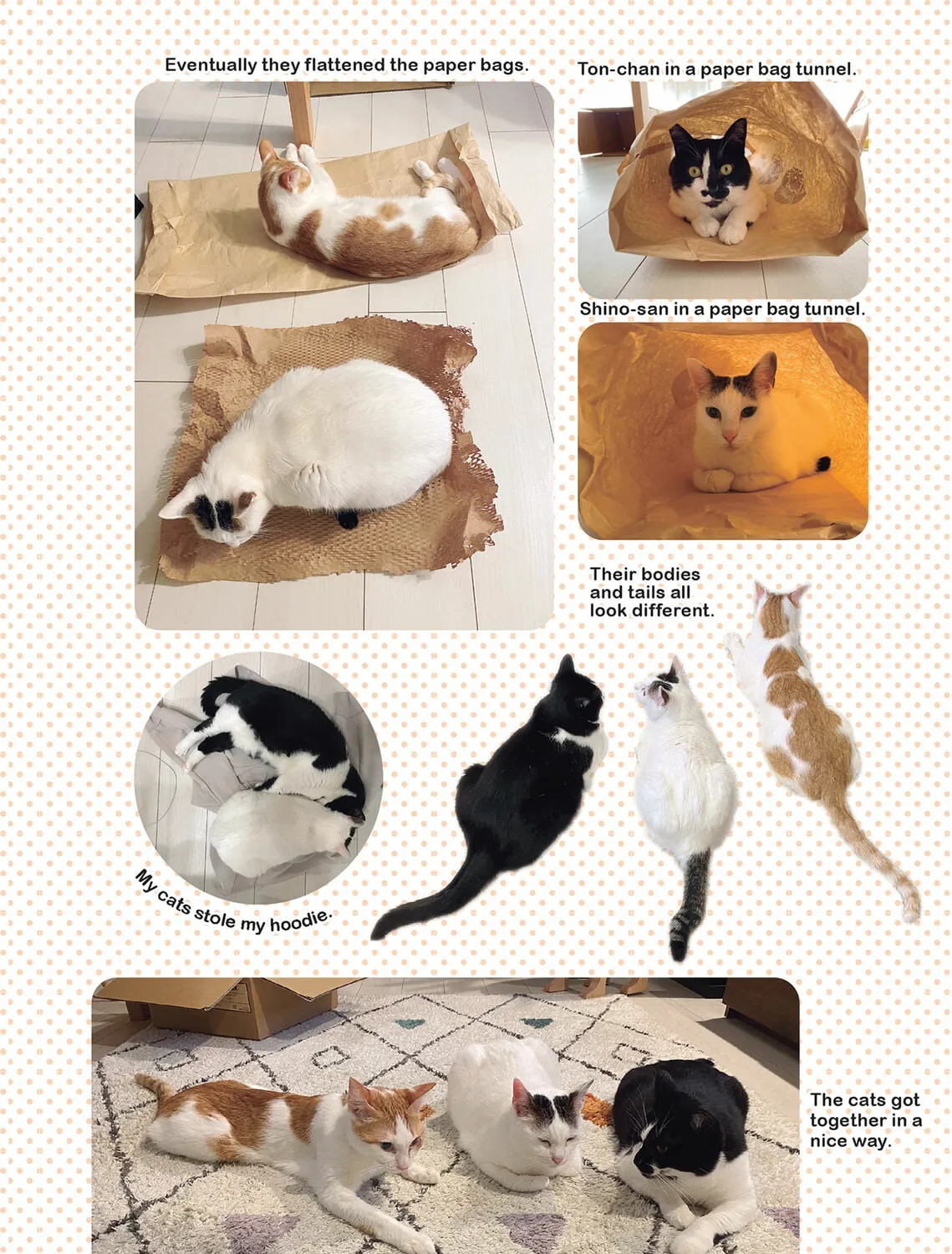 My Cat is Such a Weirdo Chapter 55 page 31 - 
