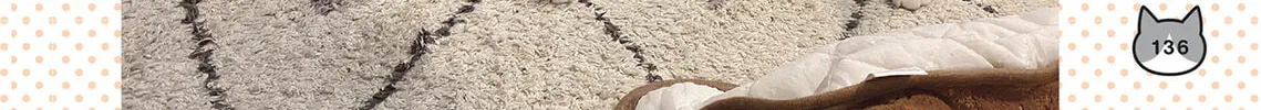 My Cat is Such a Weirdo Chapter 55 page 32 - 