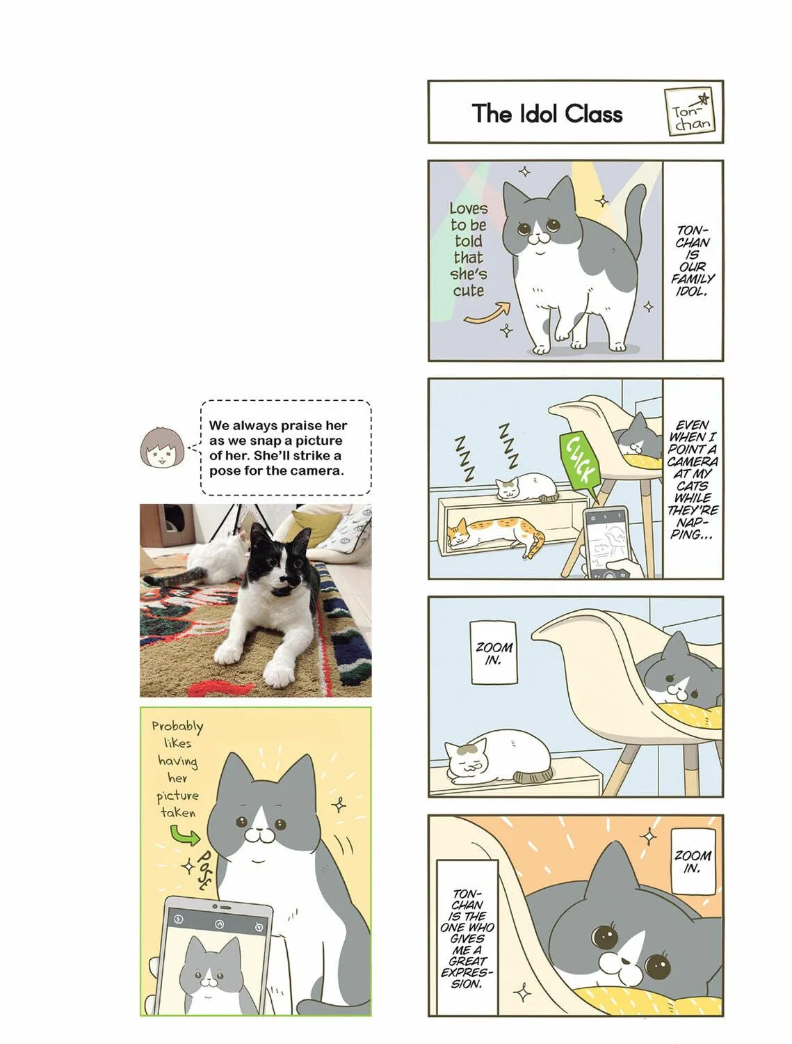 My Cat is Such a Weirdo Chapter 55 page 35 - 