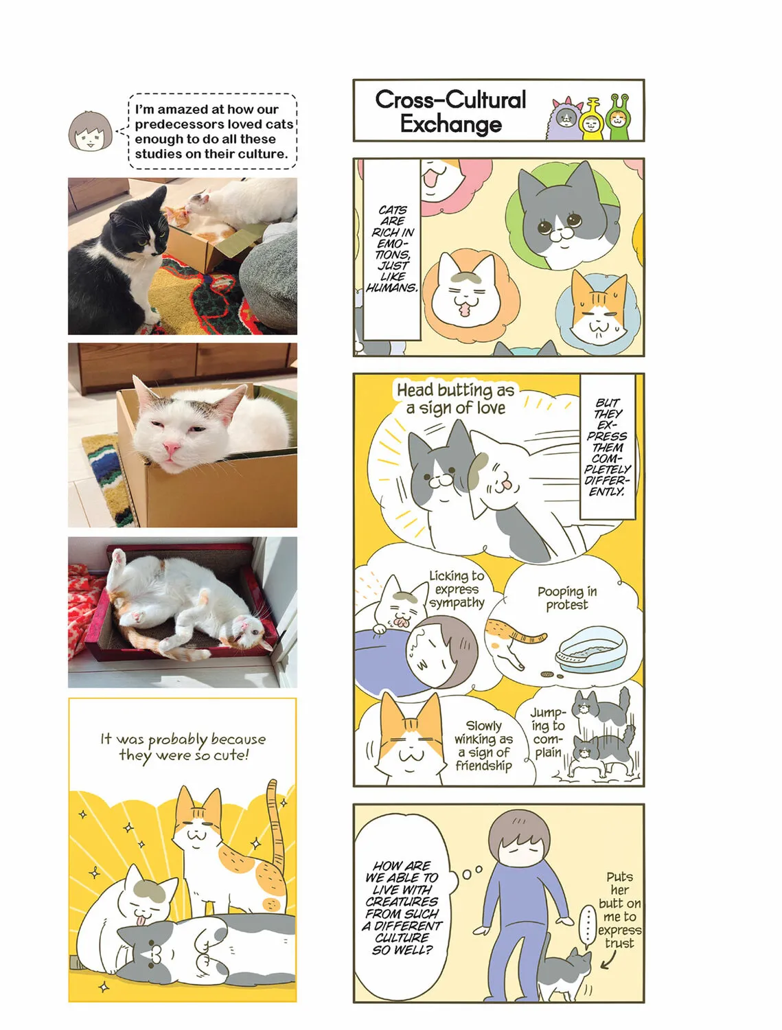My Cat is Such a Weirdo Chapter 55 page 37 - 