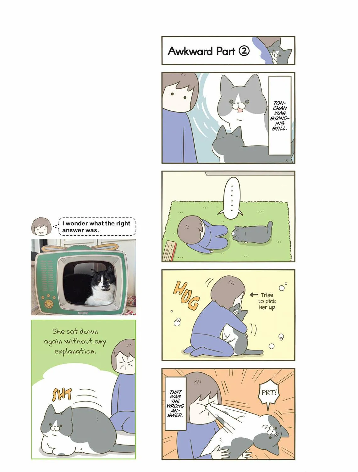 My Cat is Such a Weirdo Chapter 55 page 9 - 