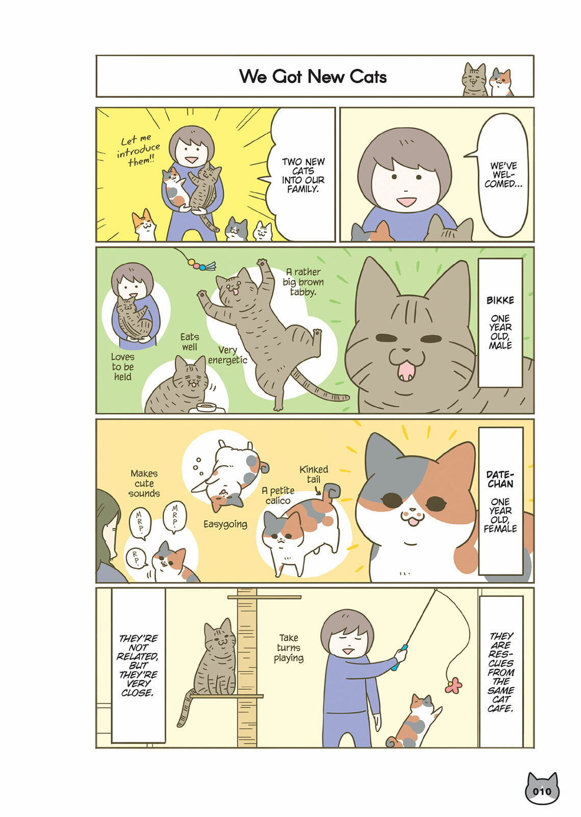 My Cat is Such a Weirdo Chapter 56 page 2 - 