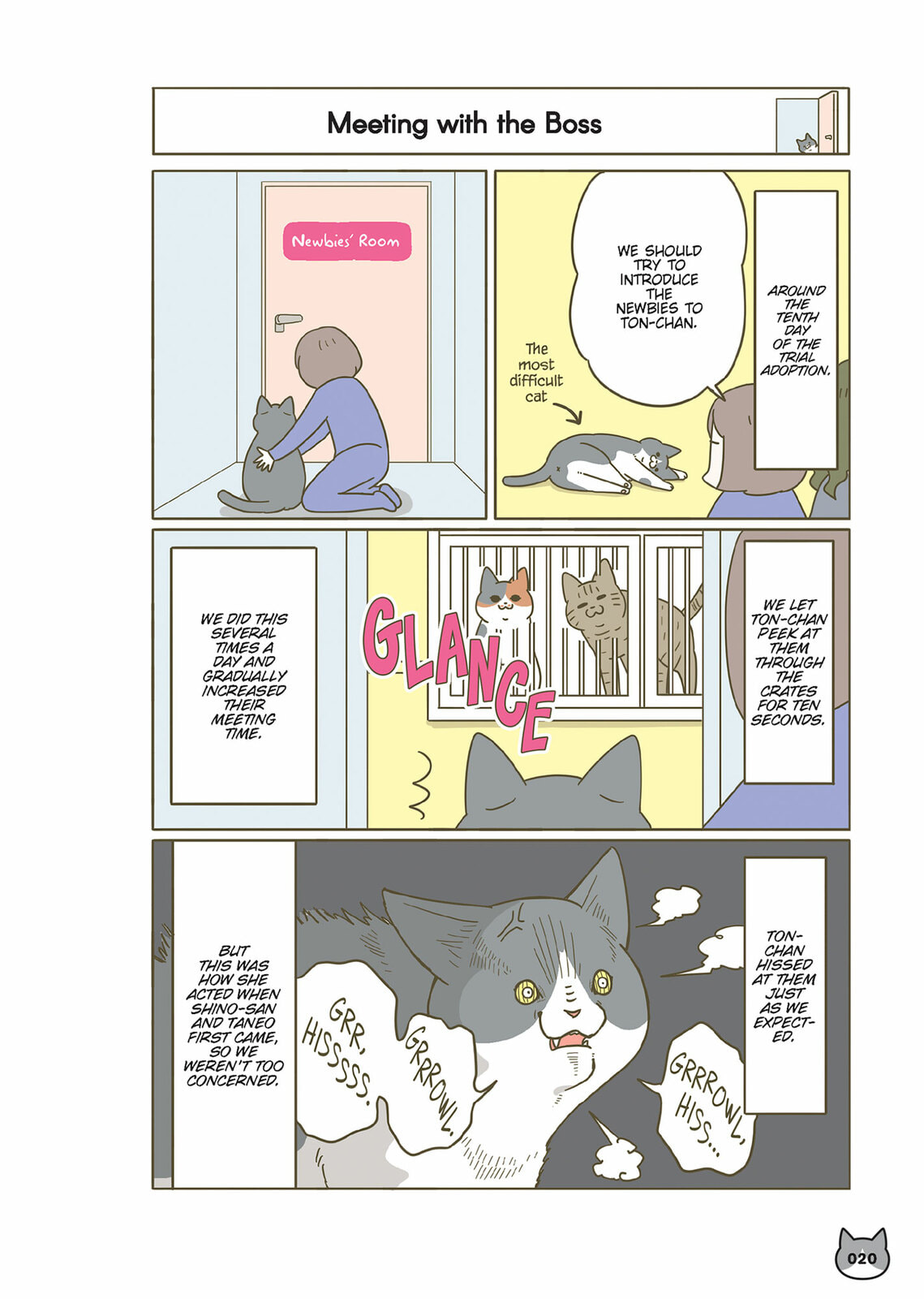 My Cat is Such a Weirdo Chapter 56 page 12 - 
