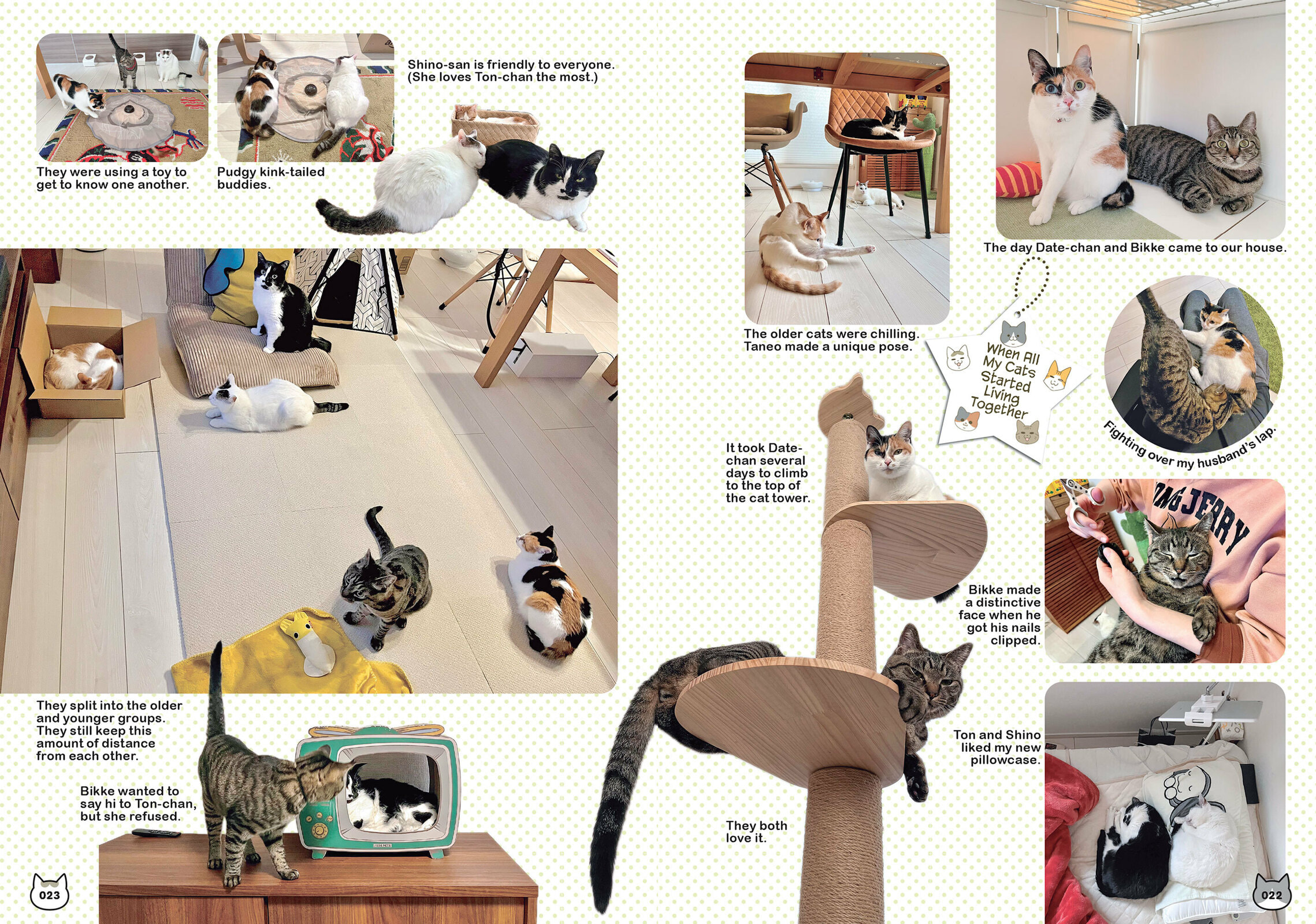 My Cat is Such a Weirdo Chapter 56 page 14 - 