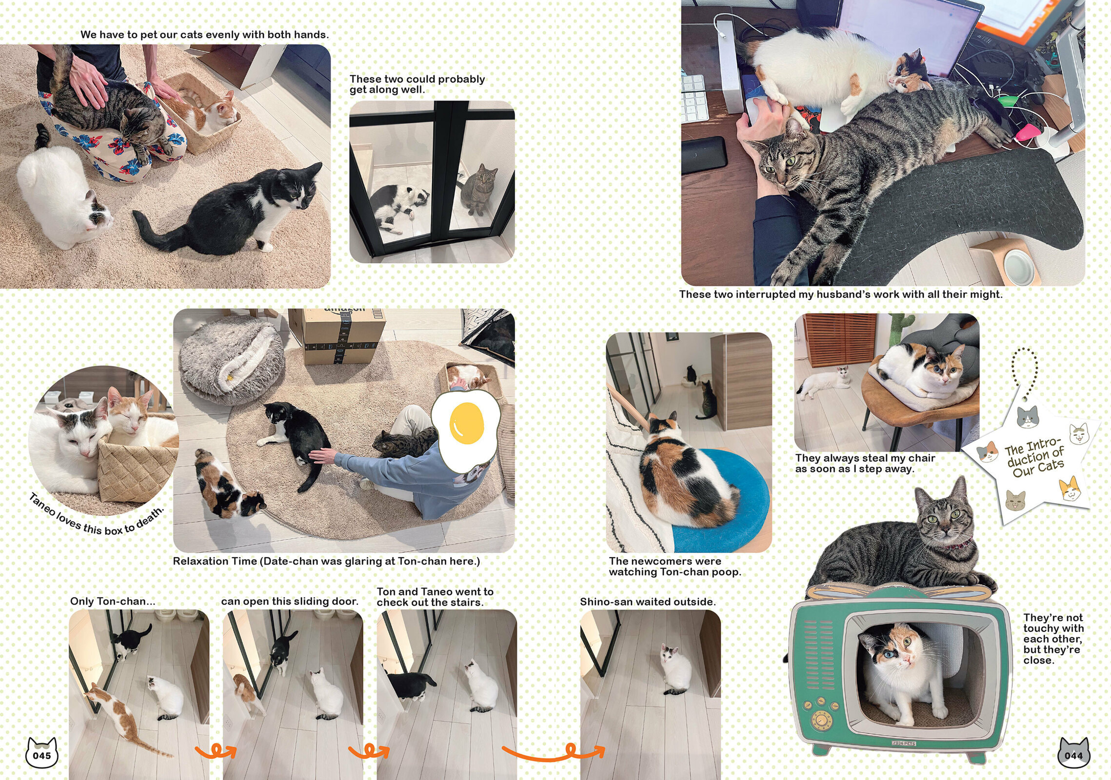 My Cat is Such a Weirdo Chapter 57 page 14 - 