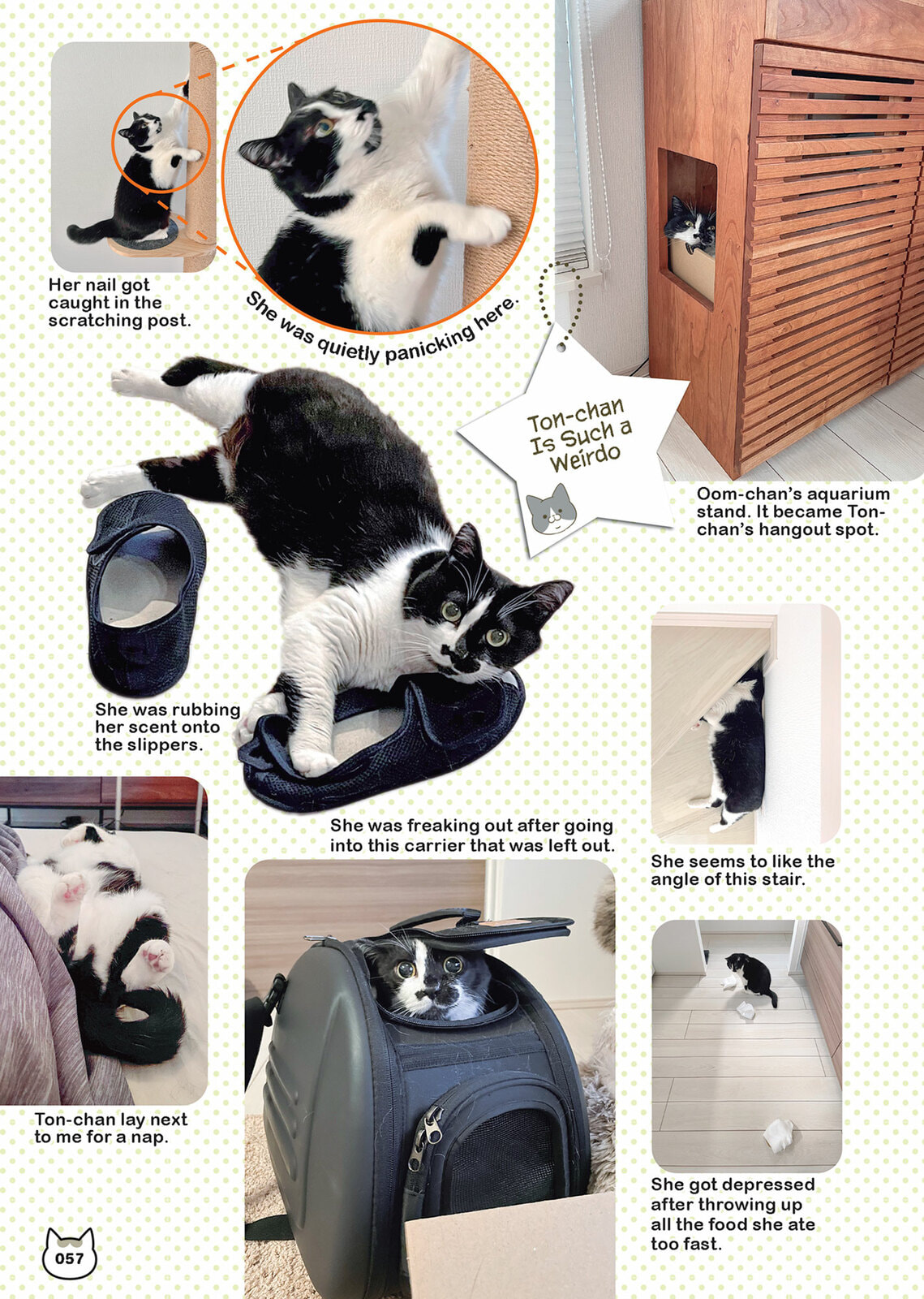 My Cat is Such a Weirdo Chapter 58 page 11 - 
