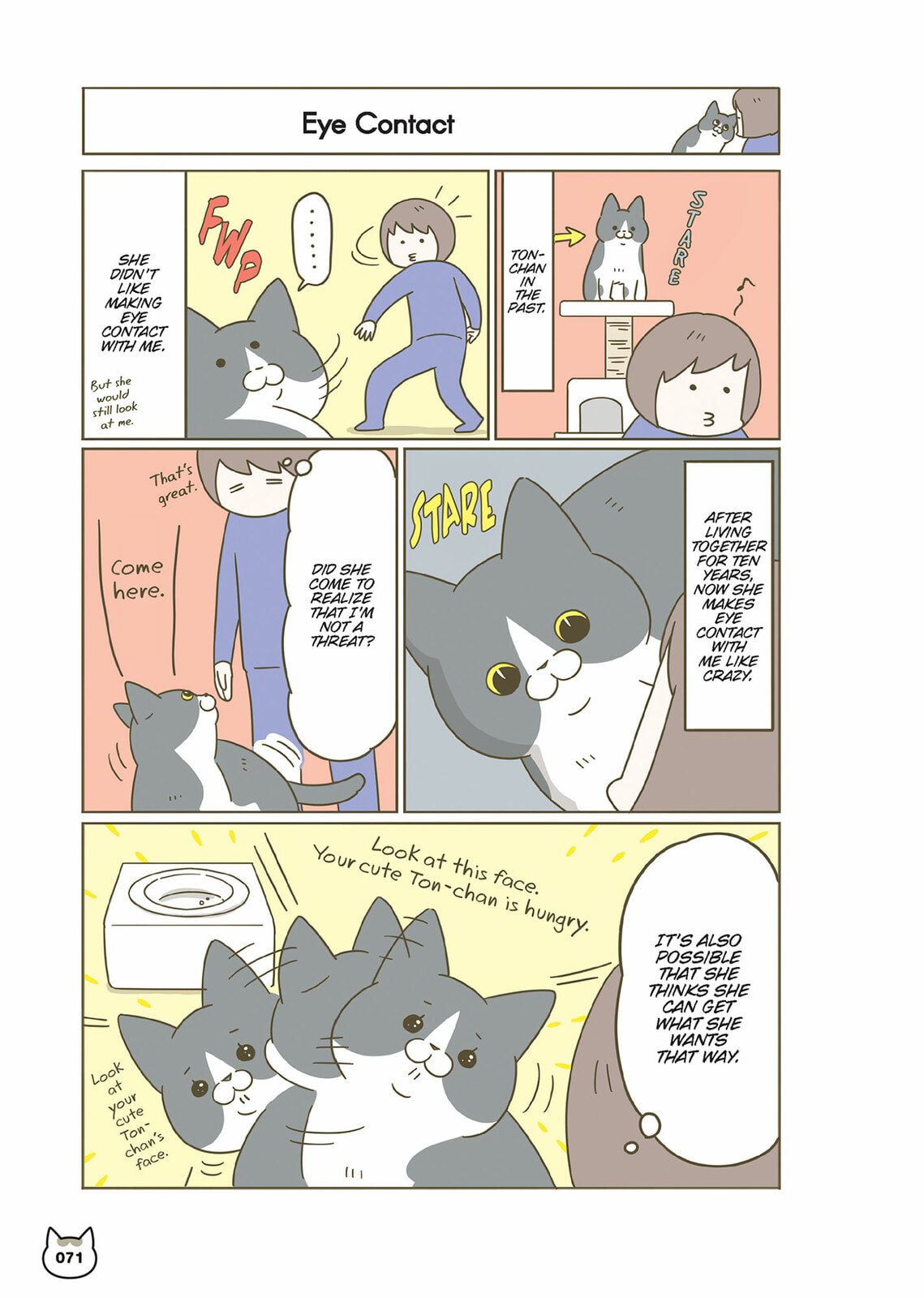 My Cat is Such a Weirdo Chapter 59 page 11 - 