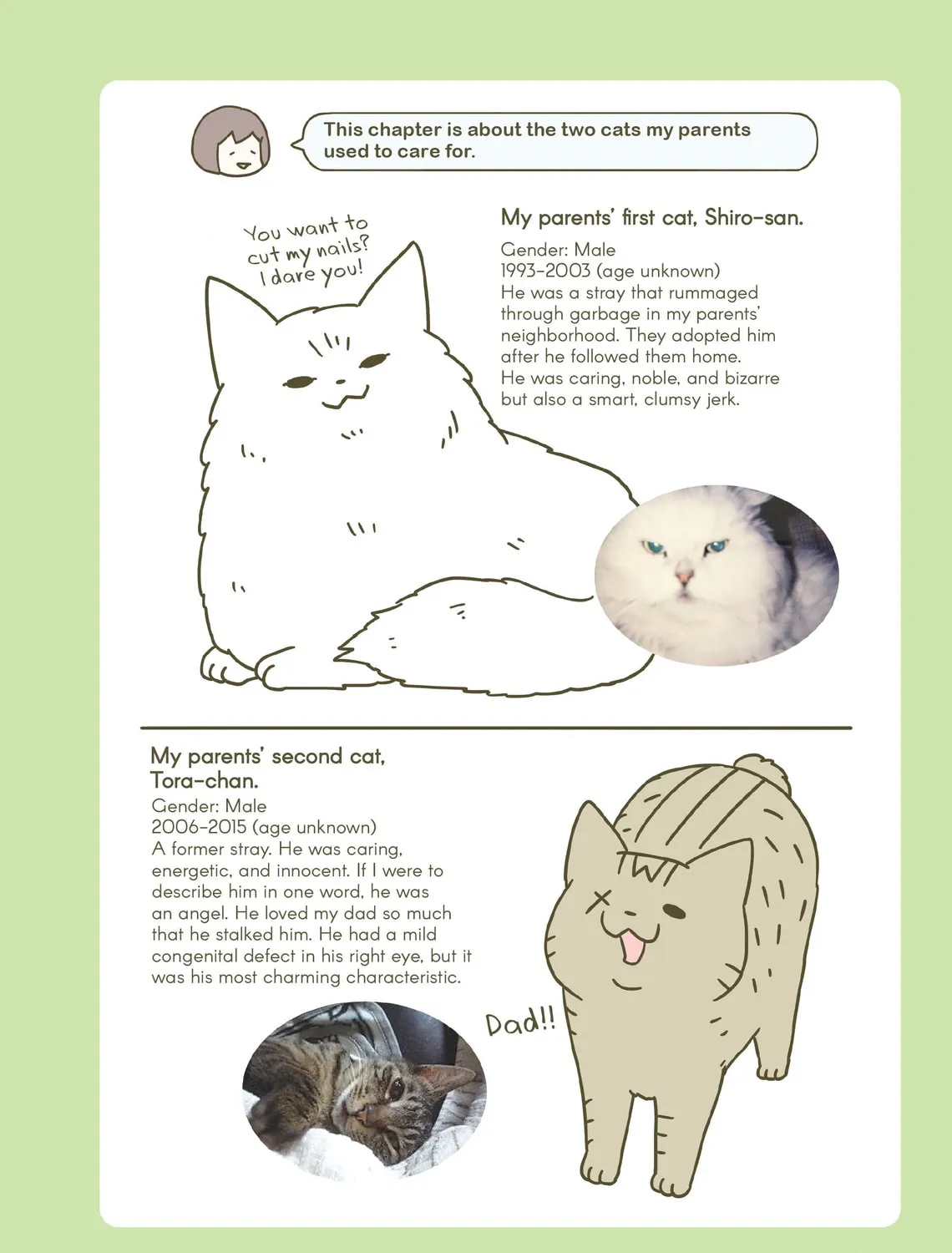 My Cat is Such a Weirdo Chapter 6 page 3 - 