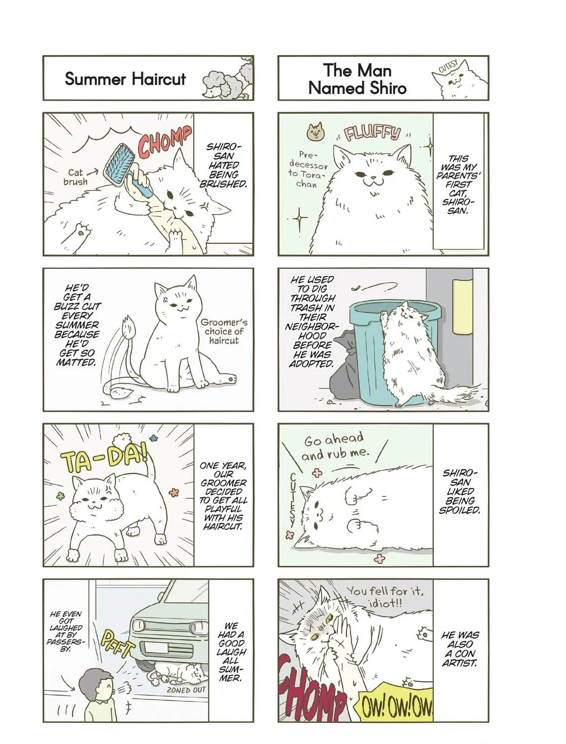 My Cat is Such a Weirdo Chapter 6 page 5 - 