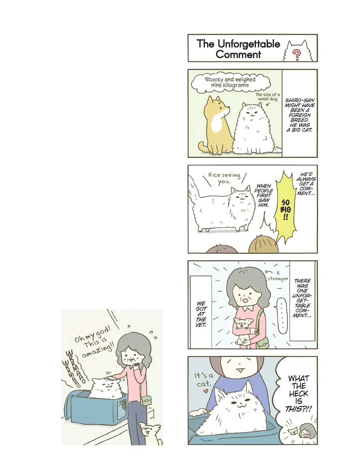 My Cat is Such a Weirdo Chapter 6 page 7 - 