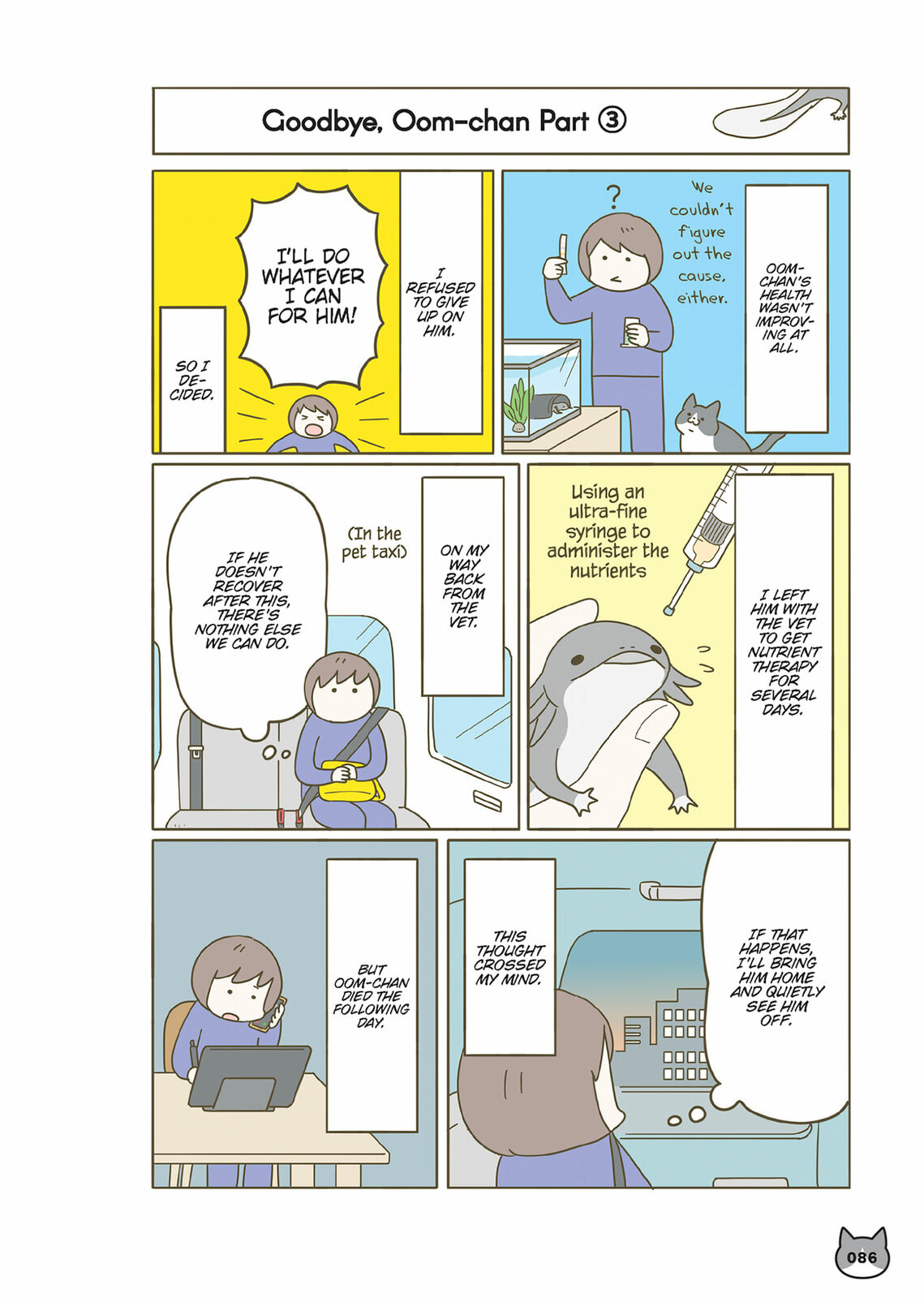 My Cat is Such a Weirdo Chapter 60 page 12 - 
