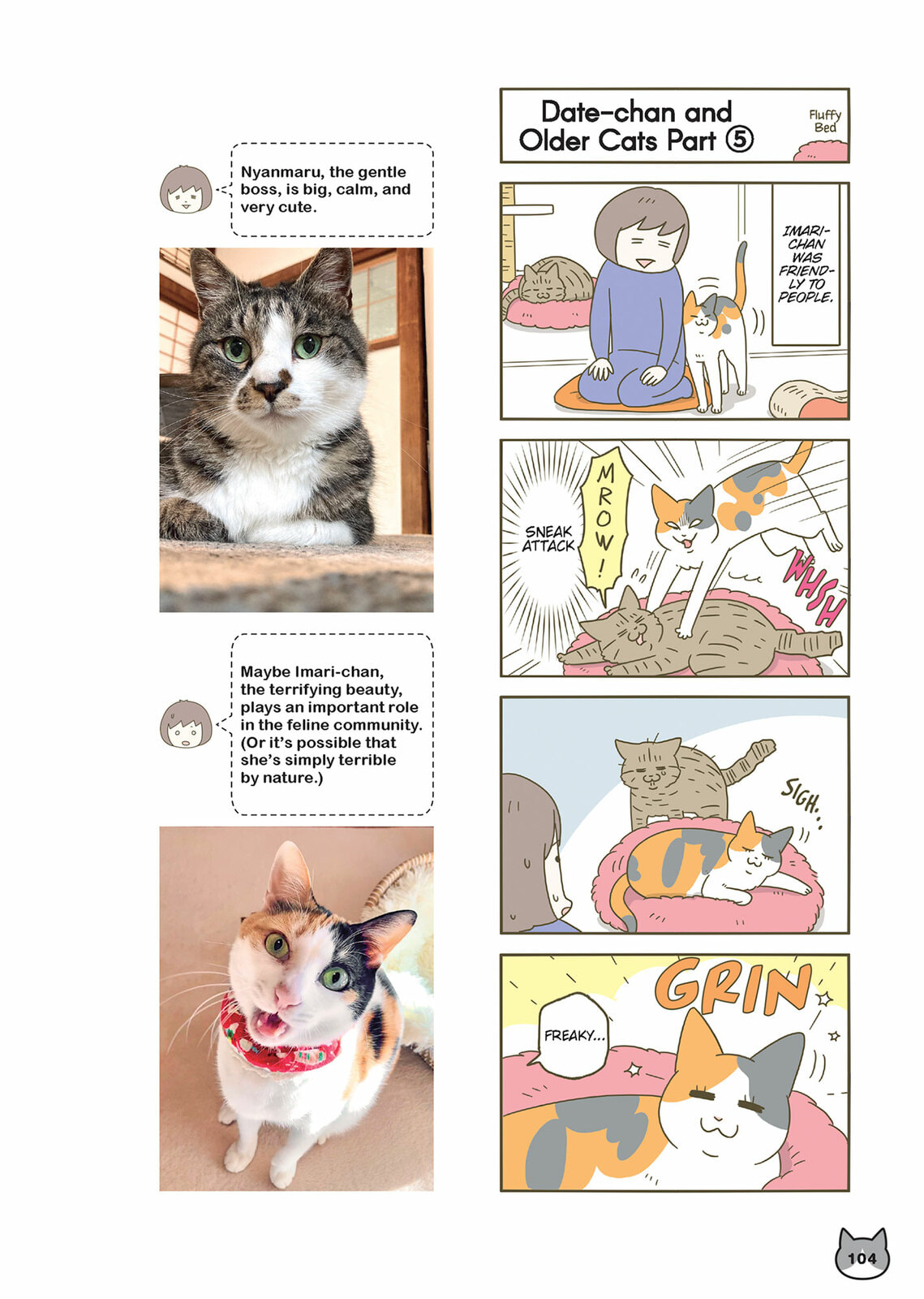 My Cat is Such a Weirdo Chapter 61 page 14 - 
