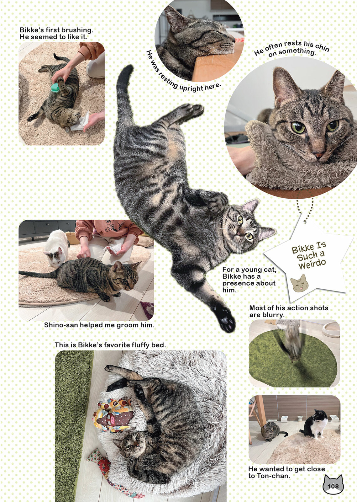 My Cat is Such a Weirdo Chapter 61 page 18 - 