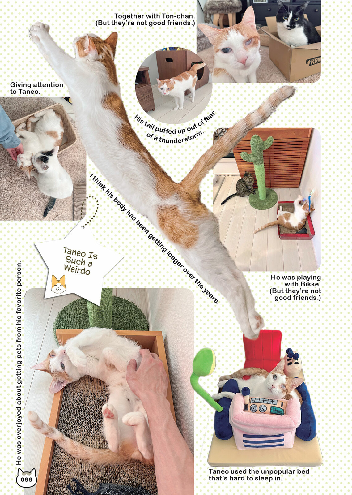 My Cat is Such a Weirdo Chapter 61 page 9 - 