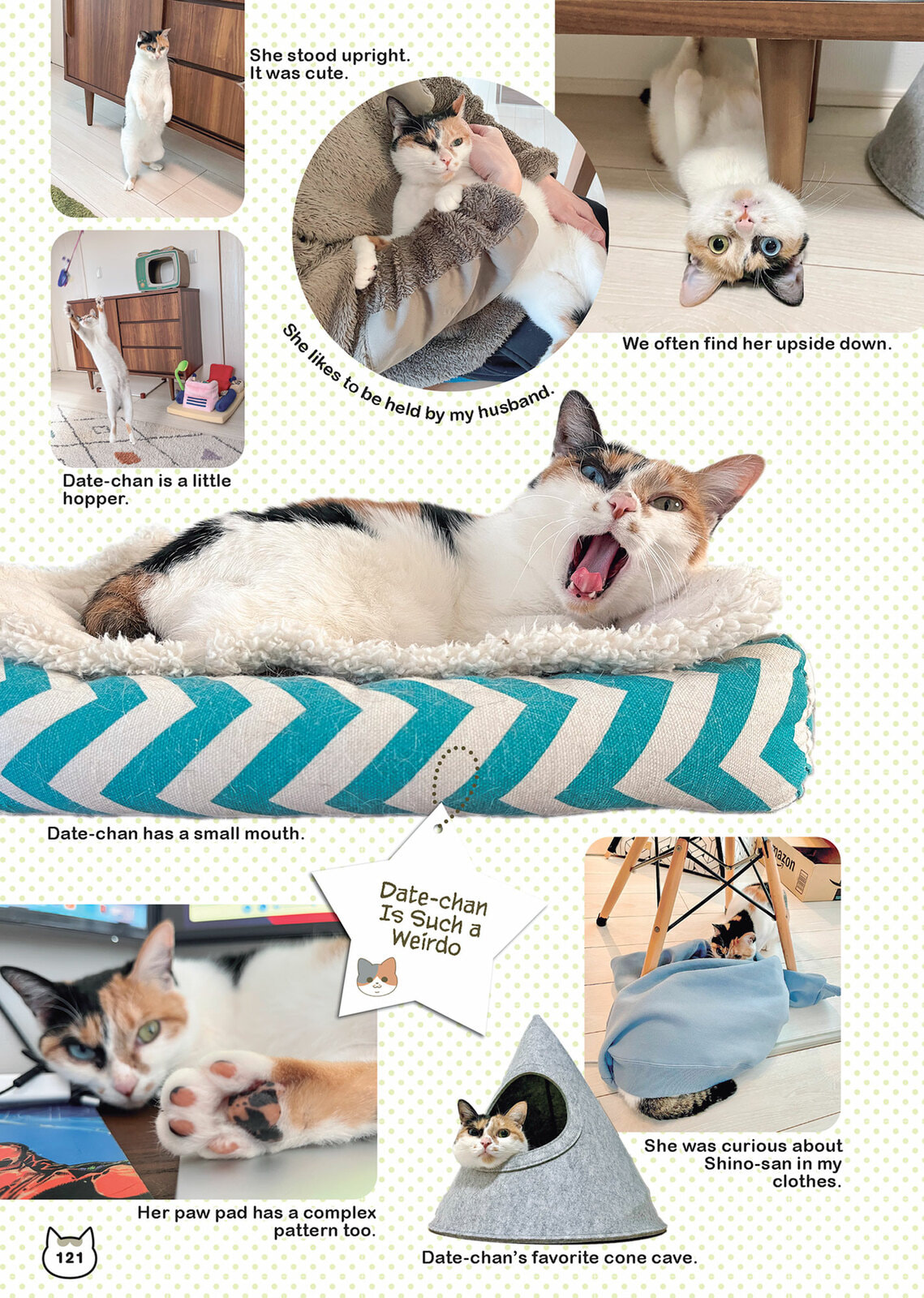 My Cat is Such a Weirdo Chapter 62 page 11 - 
