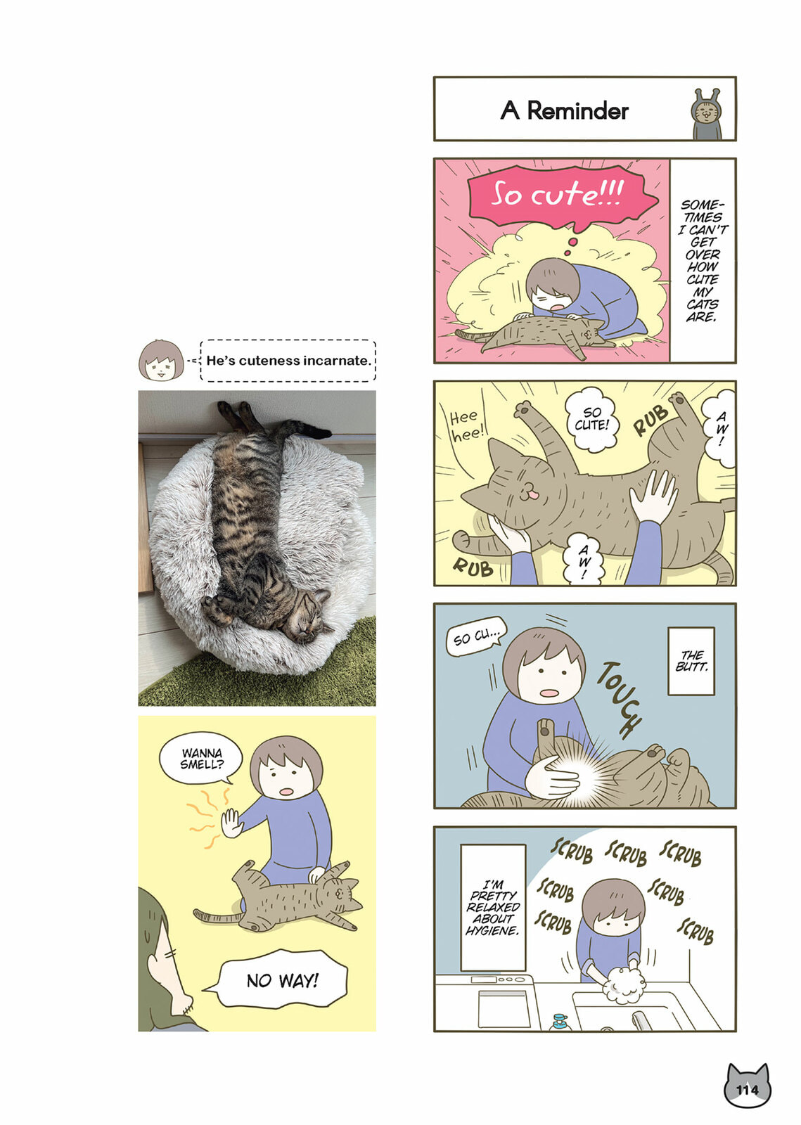My Cat is Such a Weirdo Chapter 62 page 4 - 