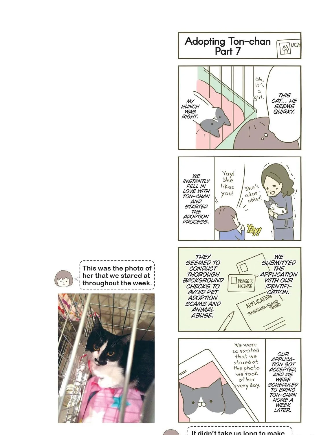 My Cat is Such a Weirdo Chapter 7 page 11 - 