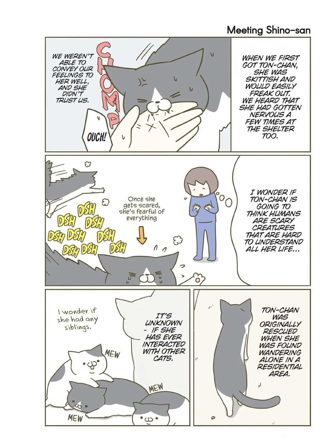 My Cat is Such a Weirdo Chapter 7 page 19 - 