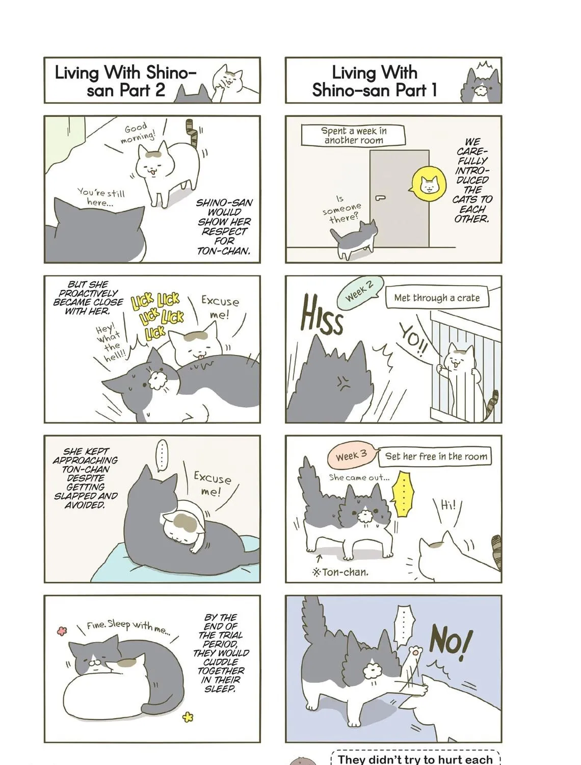 My Cat is Such a Weirdo Chapter 7 page 29 - 