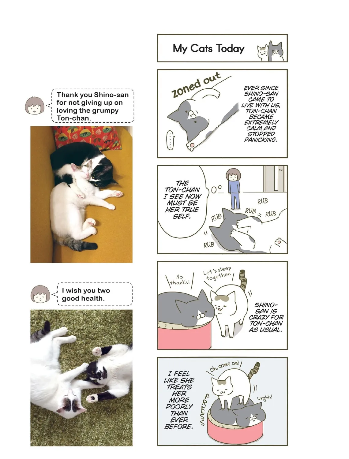 My Cat is Such a Weirdo Chapter 7 page 33 - 