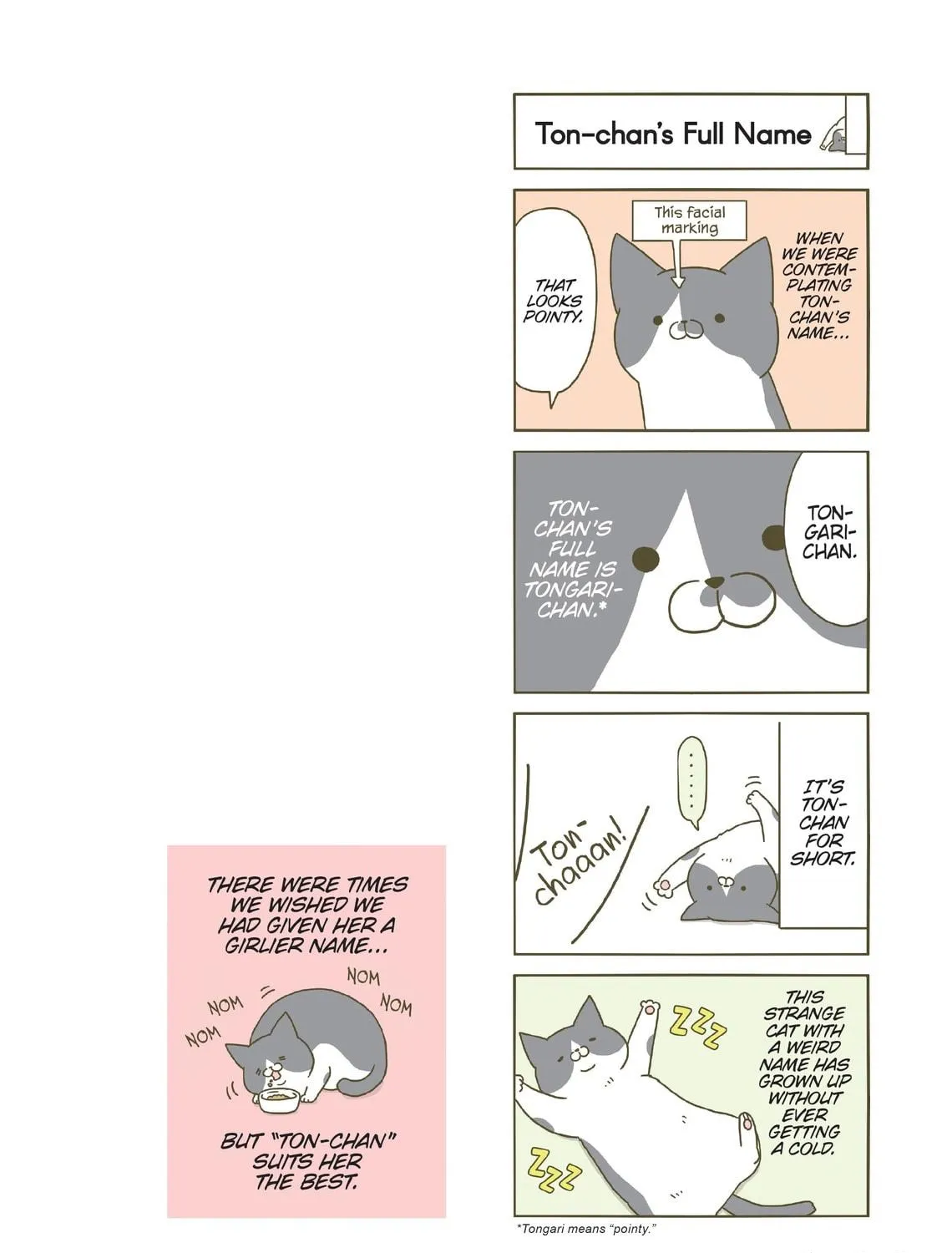 My Cat is Such a Weirdo Chapter 7 page 35 - 