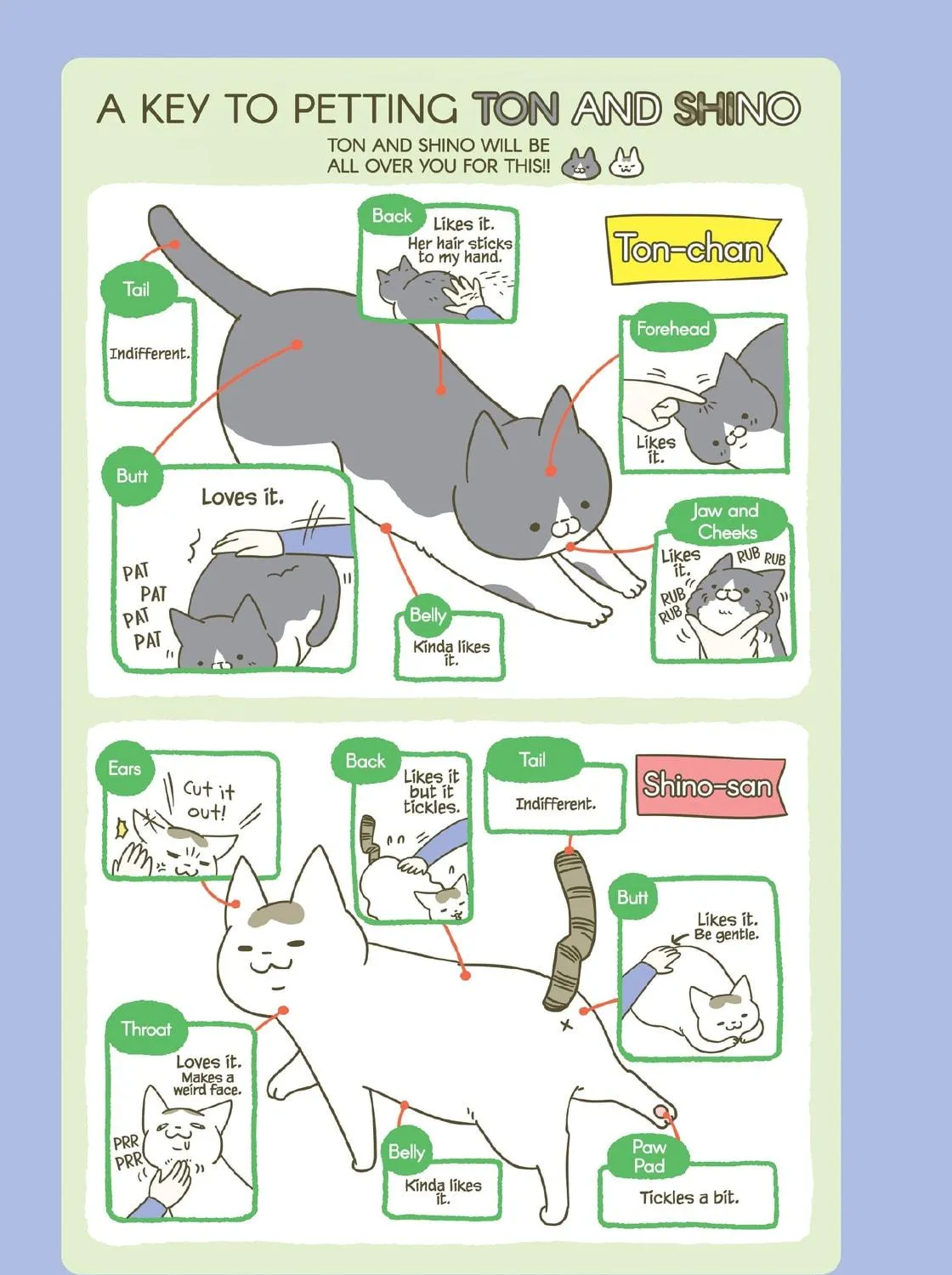 My Cat is Such a Weirdo Chapter 8 page 17 - 