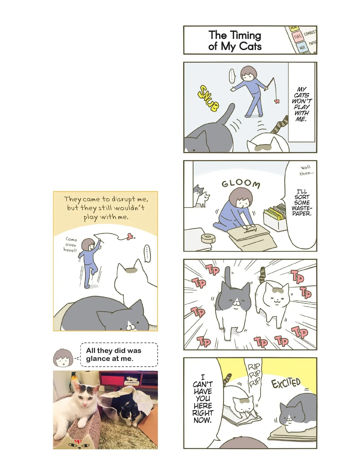 My Cat is Such a Weirdo Chapter 8 page 3 - 