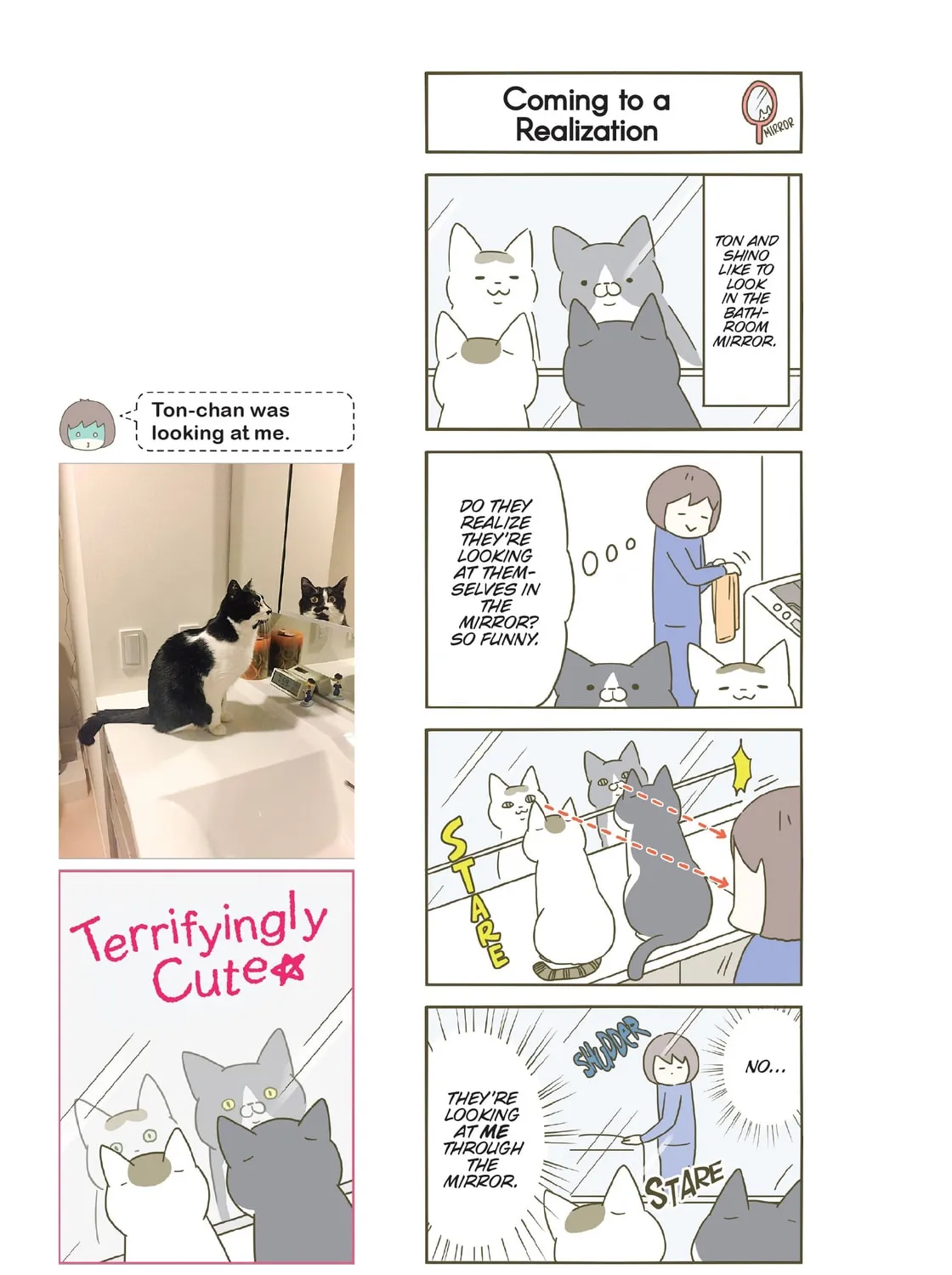 My Cat is Such a Weirdo Chapter 8 page 25 - 