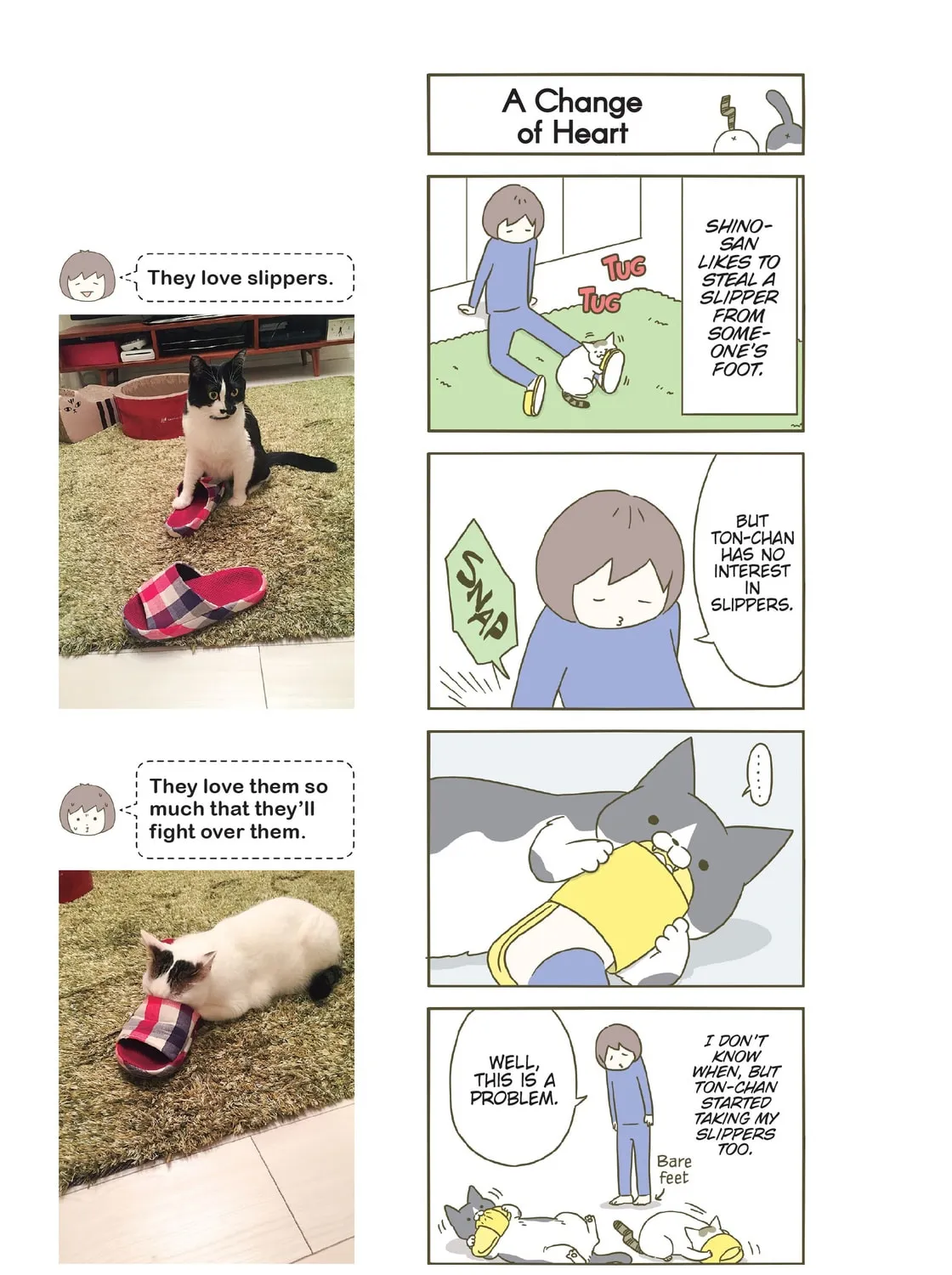 My Cat is Such a Weirdo Chapter 8 page 33 - 