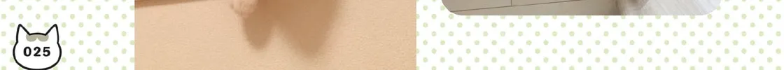 My Cat is Such a Weirdo Chapter 8 page 38 - 