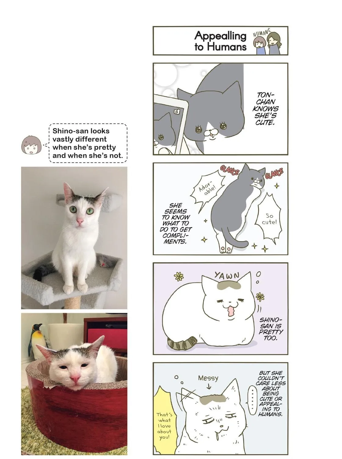 My Cat is Such a Weirdo Chapter 8 page 5 - 