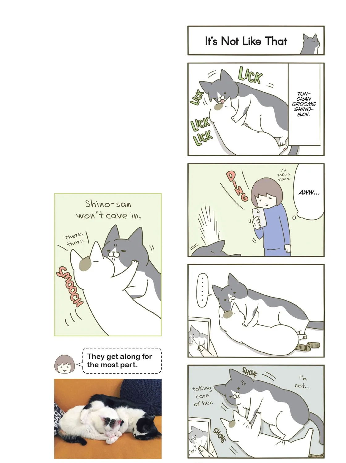 My Cat is Such a Weirdo Chapter 8 page 7 - 