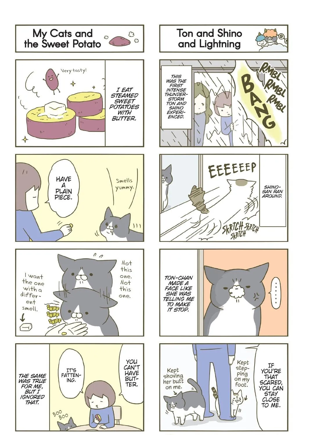 My Cat is Such a Weirdo Chapter 9 page 29 - 