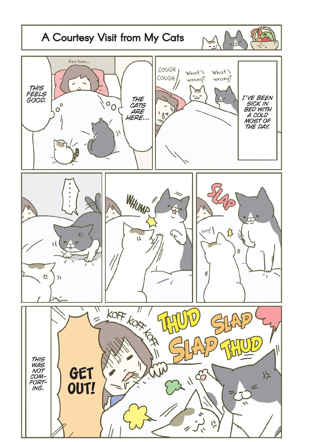 My Cat is Such a Weirdo Chapter 9 page 37 - 
