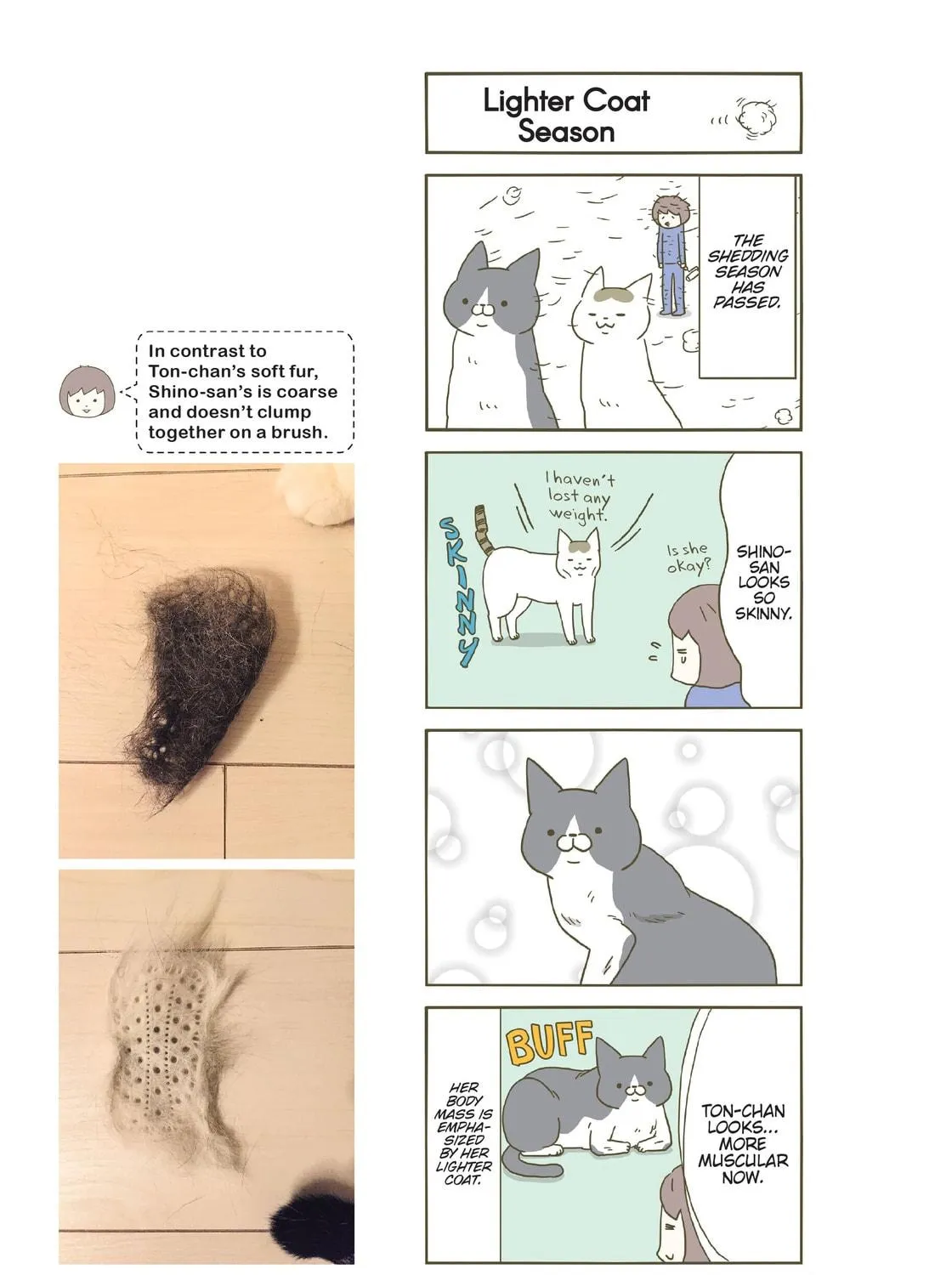 My Cat is Such a Weirdo Chapter 9 page 5 - 