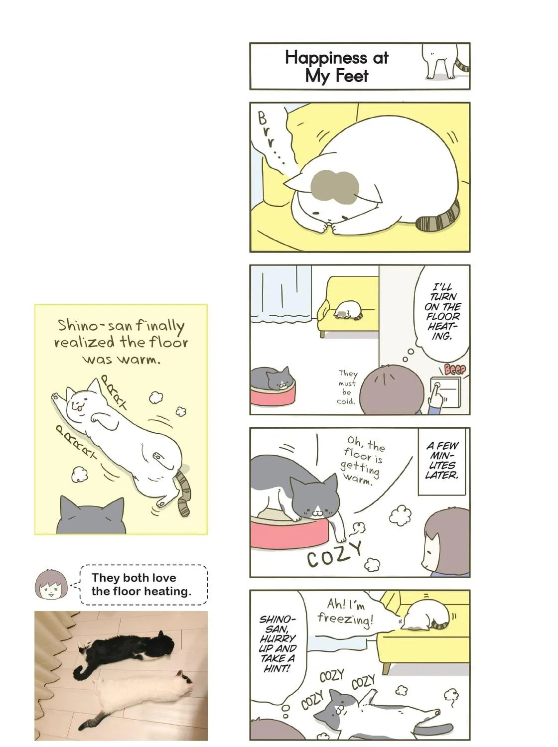 My Cat is Such a Weirdo Chapter 9 page 41 - 