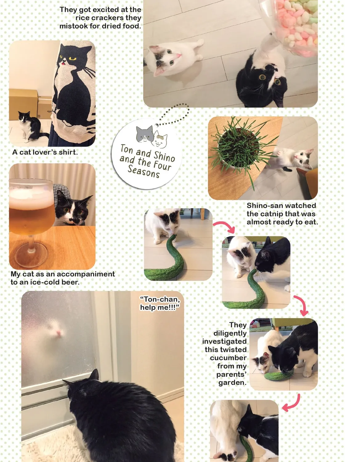 My Cat is Such a Weirdo Chapter 9 page 45 - 