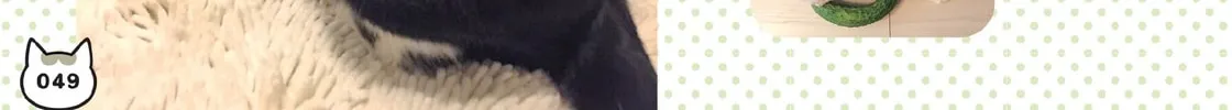 My Cat is Such a Weirdo Chapter 9 page 46 - 