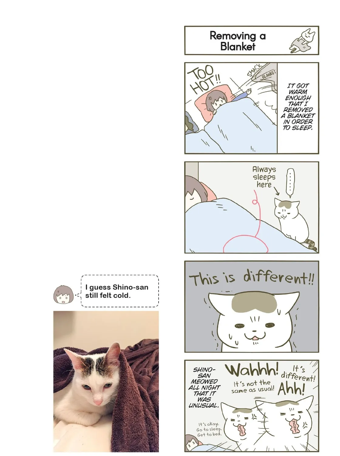 My Cat is Such a Weirdo Chapter 9 page 7 - 