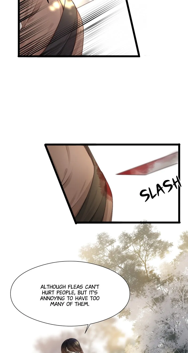 Read My Charming Bandit chapter 100 image 7 on Lezhin