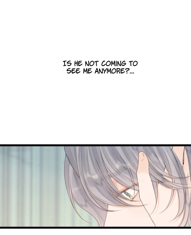 Read My Charming Bandit chapter 112 image 32 on Lezhin