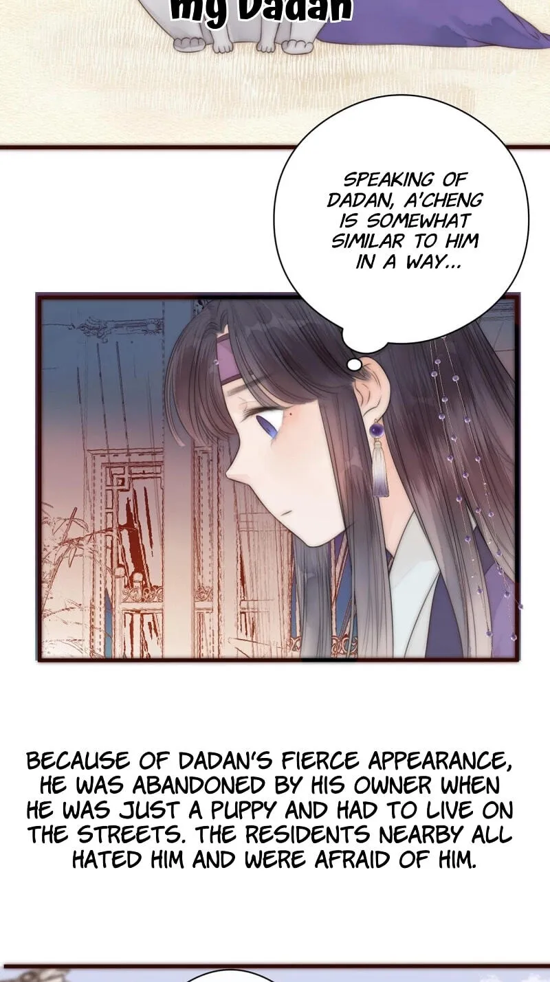 Read My Charming Bandit chapter 19 image 14 on Lezhin