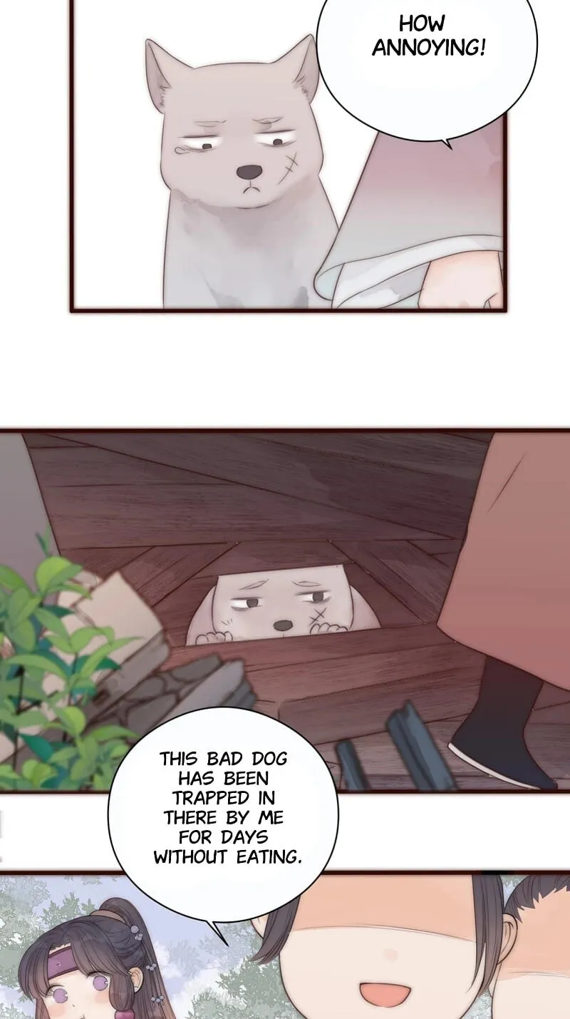 Read My Charming Bandit chapter 19 image 16 on Lezhin