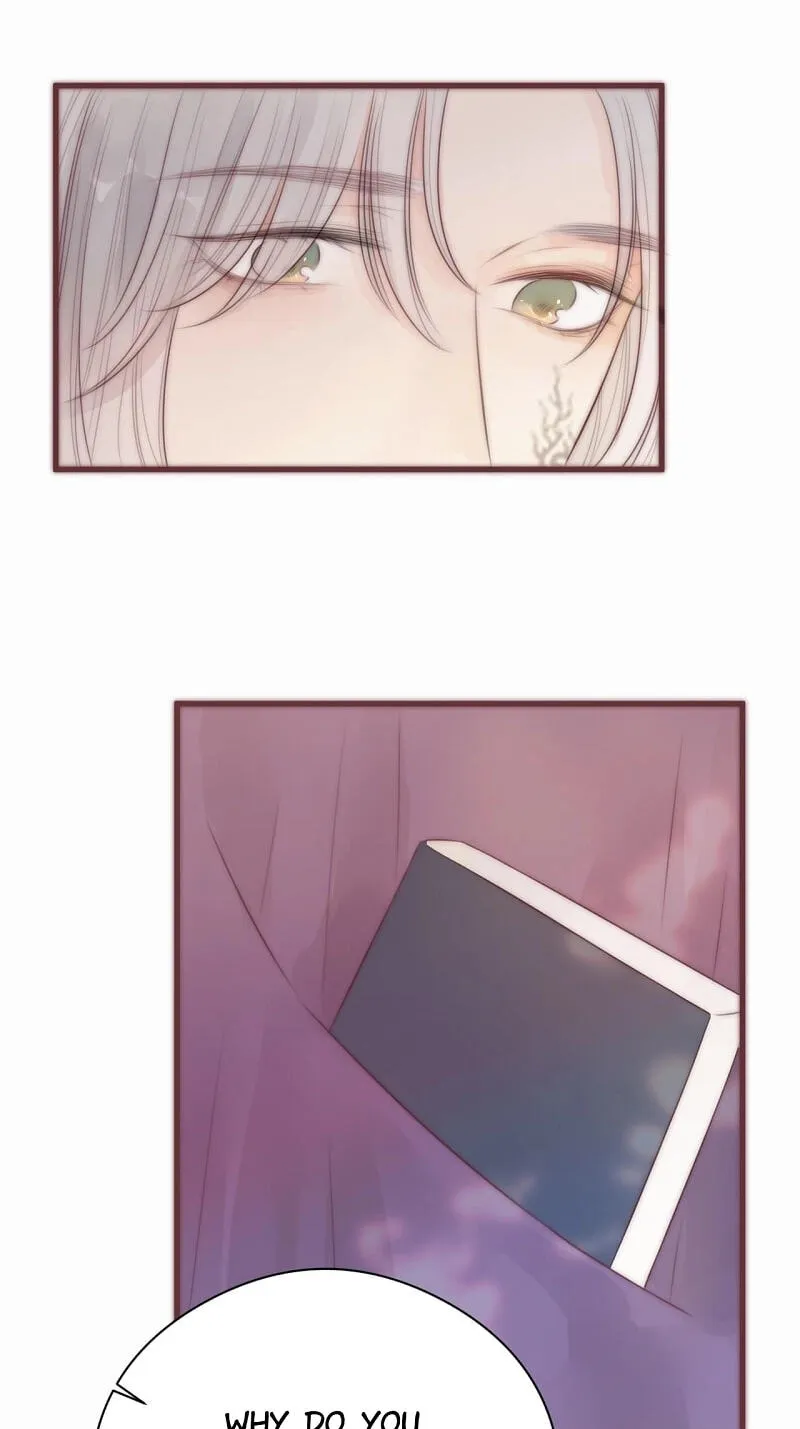 Read My Charming Bandit chapter 20 image 12 on Lezhin