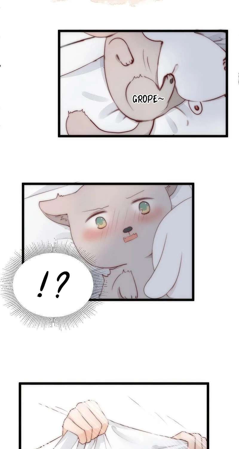 Read My Charming Bandit chapter 69 image 2 on Lezhin