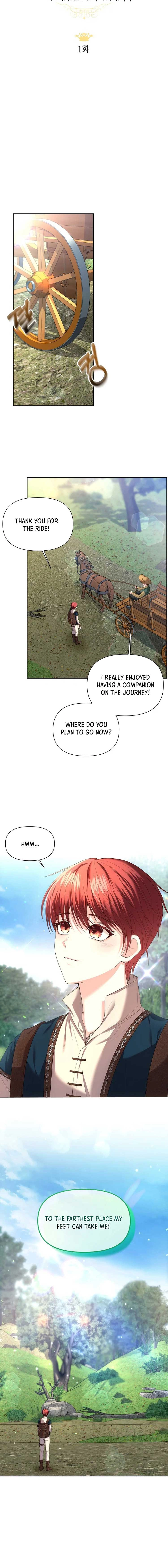 Read My Condition Is Divorce chapter 1 image 11 on Lezhin