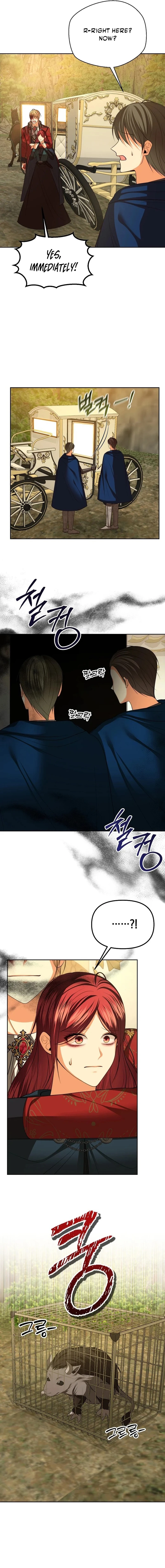 Read My Condition Is Divorce chapter 73 image 12 on Lezhin
