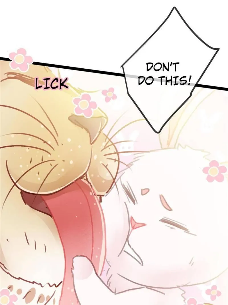 Read My Cute Concubine chapter 26 image 37 on Lezhin