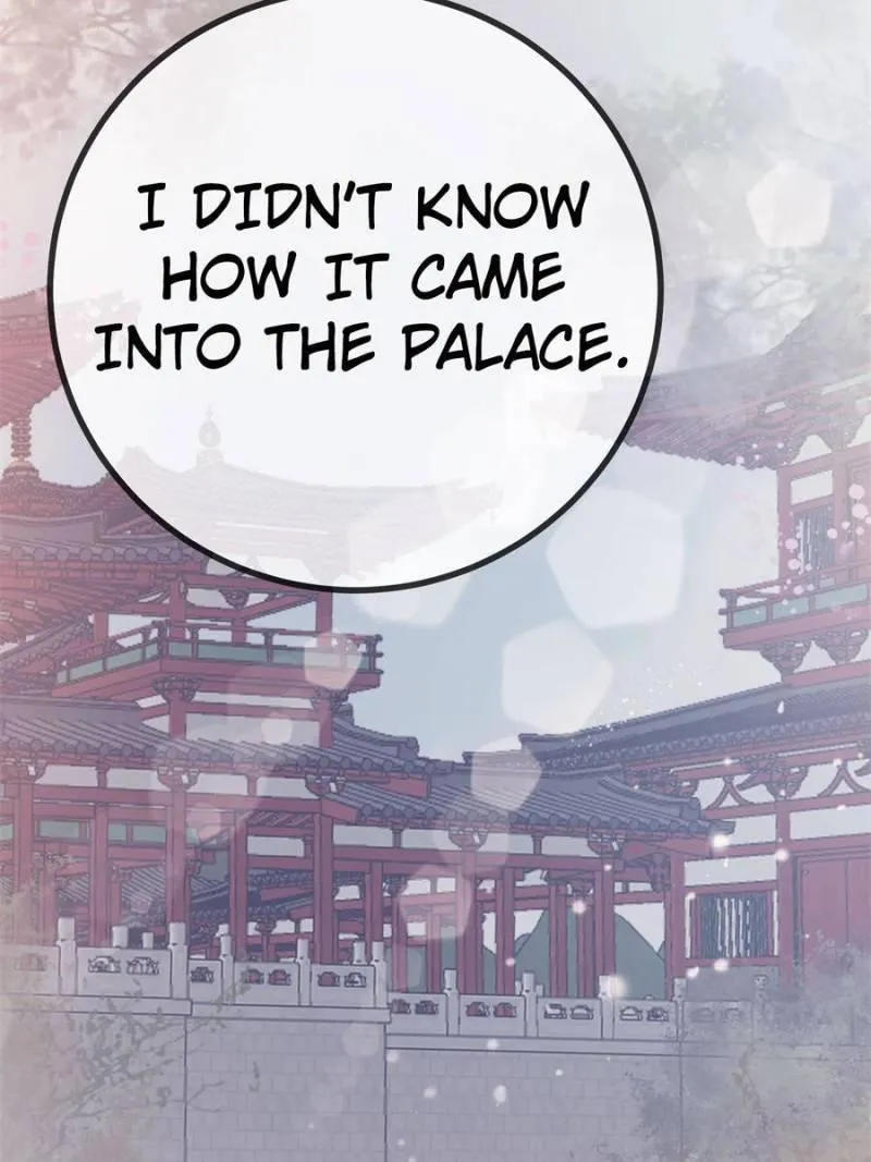 Read My Cute Concubine chapter 44 image 6 on Lezhin
