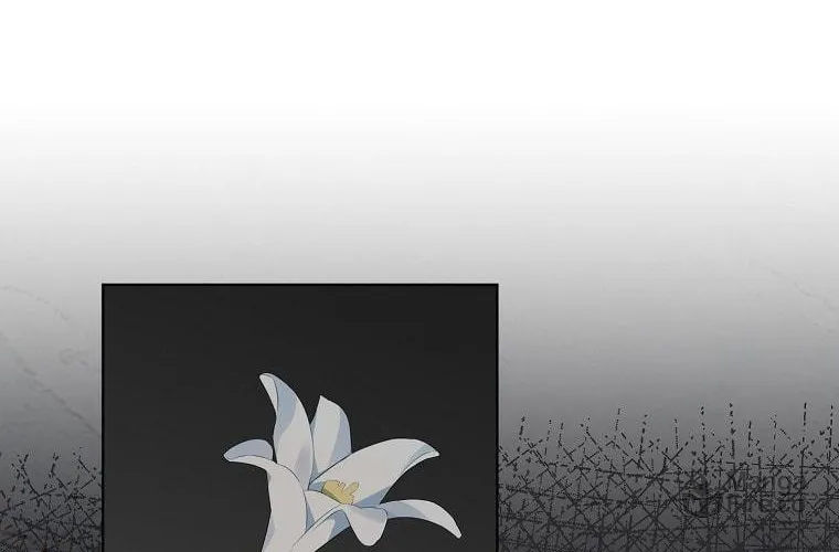 Read My Dear Aster chapter 12 image 45 on Lezhin